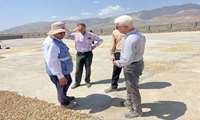 ترمینال پسته 400 تنی روستای توی اسفراین میزبان کارشناسان باغبانی شد