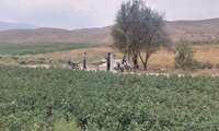 تشریک‌مساعی نمایندگان آب‌بران محمدآباد و قلندر تپه در محل قطع‌کن ۲۱۲