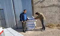 اجرای طرح PVS جو در صادق‌آباد شهرستان جاجرم
