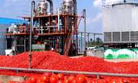صادرات رب گوجه‌فرنگی و اسانس گیاهی، خراسان شمالی به کشورهای منطقه