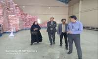 بازدید مدیرکل دفتر هماهنگی امور اقتصادی استانداری خراسان شمالی از شرکت واردکننده برنج