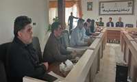 برگزاری جلسه کارگروه اجتماعی، فرهنگی، سلامت زنان و خانواده 