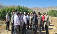 سفر مهندس محمدزاده رئیس سازمان جهاد کشاورزی و هیئت همراه به شهرآوای سملقان برای بازدید از پروژه‌های بخش کشاورزی  