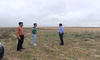 بازدید از محل احداث مرغداری ۲۰ هزار قطعه ای در اراضی زراعی روستای شهرآباد کرد