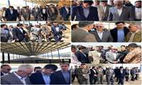  بازدید استاندار خراسان شمالی و رئیس سازمان جهاد کشاورزی از پروژه گاوداری ۱۰ هزار رأسی در شیروان  
