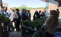 برگزاری نمایشگاه محصولات مشاغل خانگی در مدیریت جهاد کشاورزی سملقان 