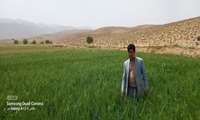 بازدید سرپرست مدیریت جهاد کشاورزی  از روستاهای بخش سملقان 
