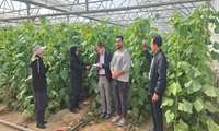 بازدید از گلخانه ۳۰۰۰ متر مربعی آقای حسین معراجی در روستای کسرق شهرستان اسفراین  
