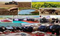 خبرهای کوتاه بخش کشاورزی  سازمان جهاد کشاورزی خراسان شمالی 