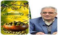 پیام تبریک رییس سازمان جهاد کشاورزی به مناسبت روز ملی زیتون