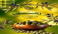 گسترش کشت زیتون در خراسان شمالی با ۱۴۵ هکتار سطح زیر کشت