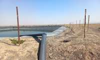 شناسایی استخر کشاورزی بدون فنس در منطقه امیرآباد 