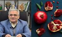 محمد محمدزاده، رئیس سازمان جهاد کشاورزی خراسان شمالی، در پیامی به مناسبت ۷ آبان، روز ملی انار، این روز را به همه کشاورزان و دست‌اندرکاران این عرصه تبریک گفت.