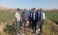 بازدید دادستان شهرستان مانه از مزارع روستای بازارقارناس 