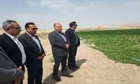 بازدید عضو کمیسیون کشاورزی مجلس؛رئیس سازمان جهاد کشاورزی؛فرماندار شهرستان سملقان؛مدیر سازمان تعاون روستایی؛مسئول دفتر دکتر شهریاری نماینده مجلس؛از شرکت سهامی زراعی بهکده رضوی