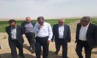 بازدید عضو کمیسیون کشاورزی مجلس و رئیس سازمان جهاد کشاورزی از شرکت سهامی زراعی بهکده رضوی و بررسی مشکلات آن