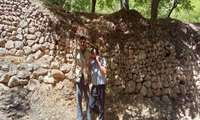بازدید غلامعلی ولیزاده مسئول مرکز جهاد کشاورزی گلیان به همراه شوراهای روستای برزلی از باغات و کشت های بهاره