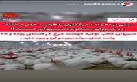 بیش از ۲۰  واحد تولیدی گوشت مرغ در سطح شیروان منتظر تخصیص آب هستند!!