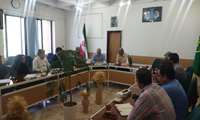 جلسه هماهنگی سرشماری زنبور با حضور مهندس برغمدی، مدیر جهاد کشاورزی  ، مهندس یوسفی، معاون فنی، کارشناسان مدیریت و نمایندگان شرکت تعاونی زنبور داران برگزار شد. در این جلسه، جزئیات مربوط به فرآیند سرشماری زنبور که از تاریخ 5 تا 17 مهرماه انجام خواهد شد، مورد بحث و بررسی قرار گرفت