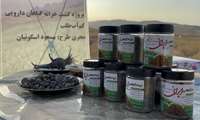 بازدید استاندار خراسان شمالی از مزرعه گیاهان دارویی تنسوان در شیروان