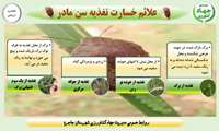 علائم خسارت تغذیه  سن مادر