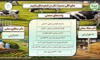 اینفوگرافی نمای کلی جمعیت دام شهرستان جاجرم