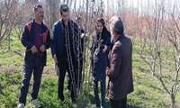 کارگاه تخصصی آبیاری، تغذیه و کاهش خسارت سرمازدگی و اقدامات زمستانه باغات