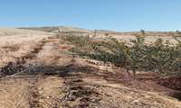 بازدید از اراضی واگذار شده در شهرستان مانه 