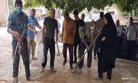 عملیات  مبارزه با آفت ملخ در اراضی روستای کشانک