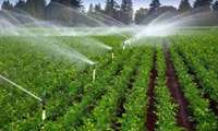 اجرای سامانه‌های نوین آبیاری در ۴۱ هزار هکتار از اراضی خراسان شمالی؛ هدف‌گذاری برای افزایش بهره‌وری آب و تولید
