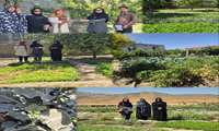 بازدید از باغچه های سلامت ویژه زنان روستایی در بخش مرکزی شهرستان رازوجرگلان