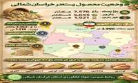 اینفوگرافیک