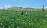 بازدید شبکه مراقبت شهرستان 