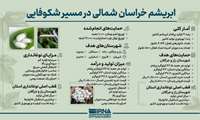 ابریشم خراسان شمالی در مسیر شکوفایی