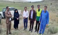 پایش و سمپاشی ۱۵۰ هکتار از کانون های آلودگی ملخ در شهرستان رازوجرگلان