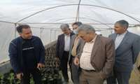گزارش تصویری - سفر شهرستانی سرپرست سازمان جهاد کشاورزی خراسان شمالی به شهرستان شیروان