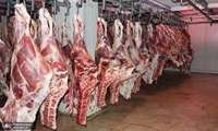قیمت خرید حمایتی گوشت قرمز در خراسان‌شمالی افزایش یافت