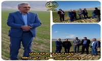 بازدید از مزارع دیم قره میدان و بررسی وضعیت سطح سبز این منطقه