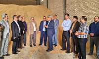 بازدید از مرکز خرید گندم شهر تیتکانلو / شهرستان فاروج