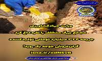 جریمه 324 میلیارد تومانی تولیدکننده گران‌فروش جوجه یک روزه
