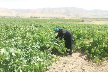 IMG_20260802_221842_261