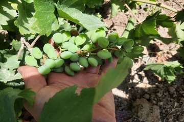 IMG_20260802_221848_281