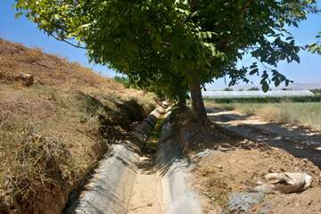 IMG_20260809_214037_183