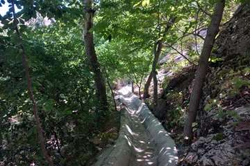 IMG_20260809_215649_282
