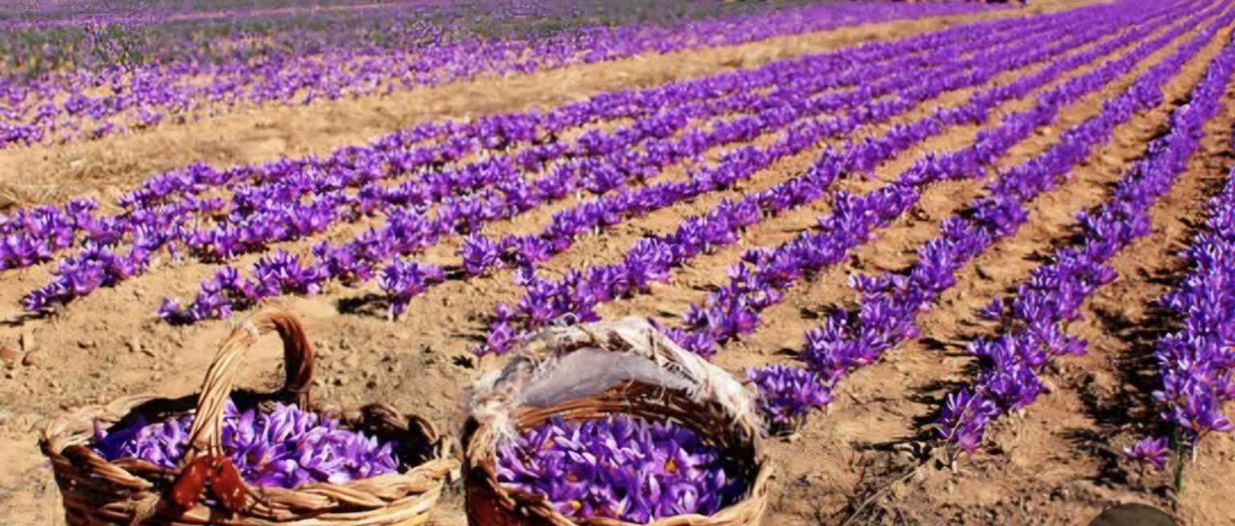 photo_2026-07-12_08-21-23 