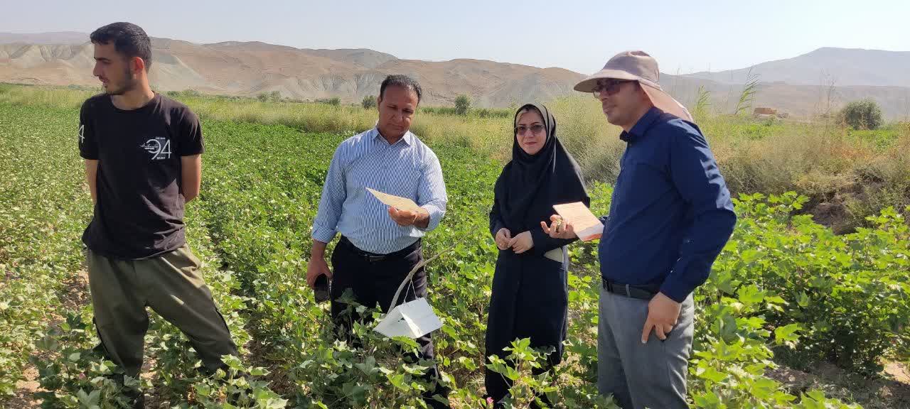 بازدید مزارع بخش گرمخان 