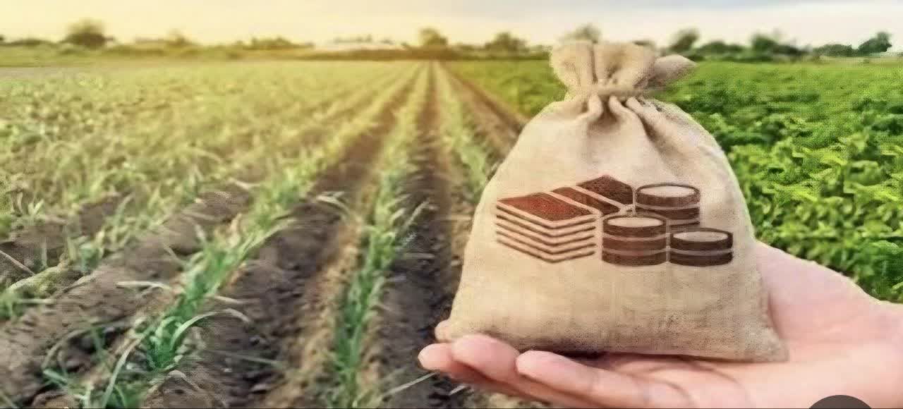 پرداخت بیش از ۴ هزار میلیارد ریال غرامت بیمه به بهره‌برداران کشاورزی خراسان شمالی